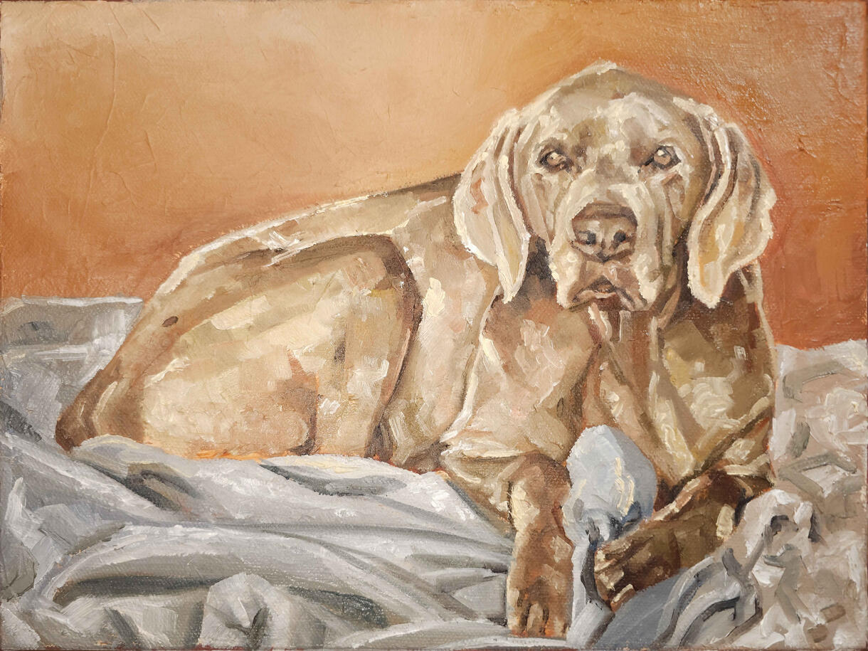 pet portrait, alla prima, oil on 9"x12" canvas, 12/09/25