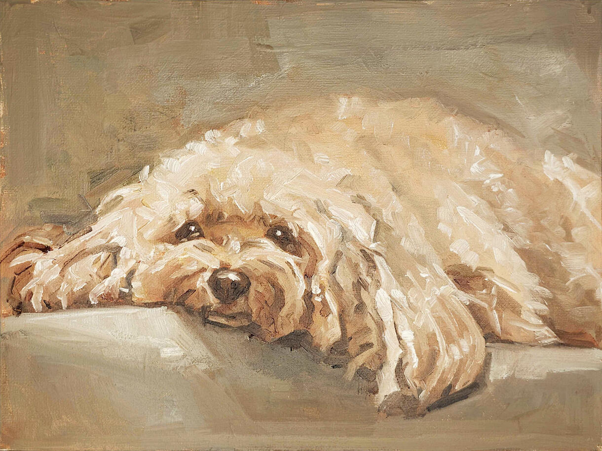"Moka", alla prima, oil on 9"x12" canvas, 11/28/25